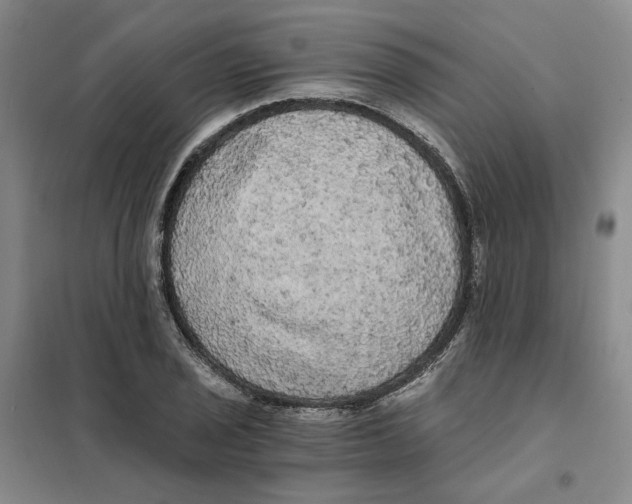 X0000101121029200807241154