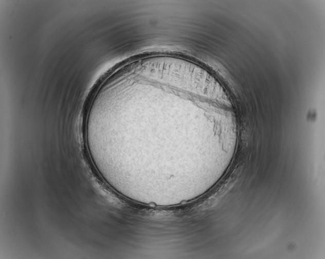 X0000101121030200807241154