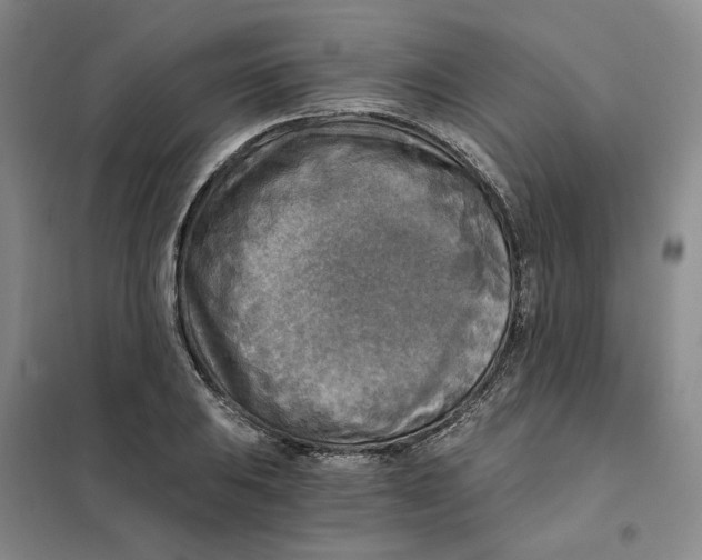 X0000101121031200807241154