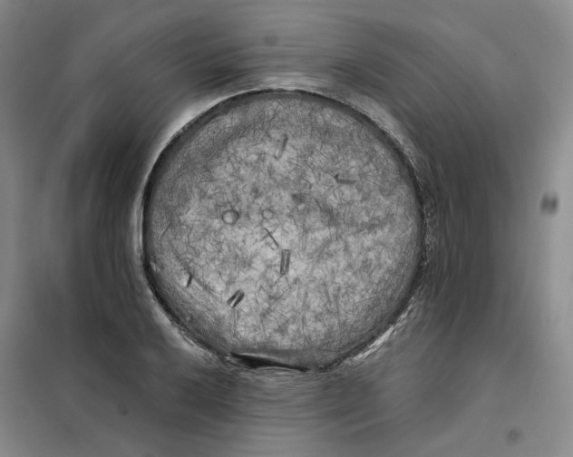 X0000101121032200807241154