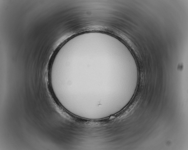 X0000101121034200807241154