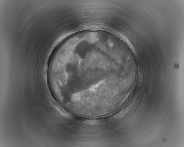 X0000101121035200807241154