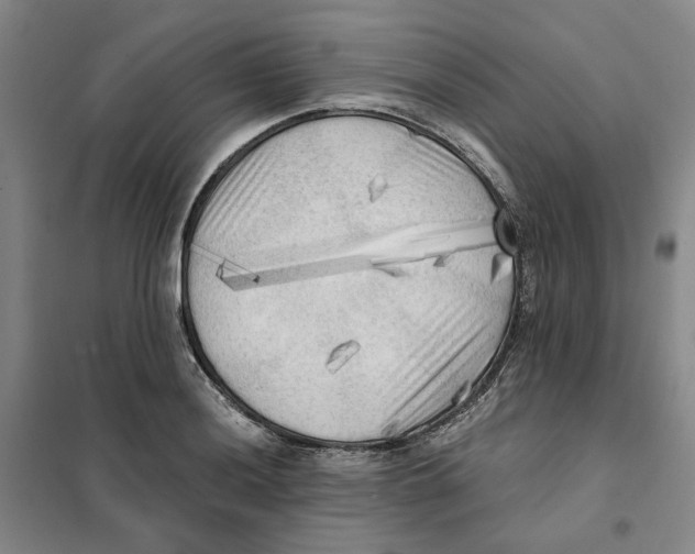 X0000101121036200807241154