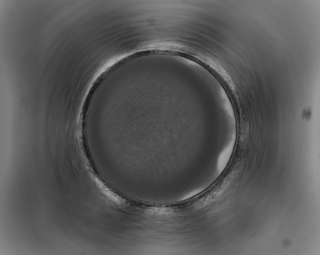 X0000101121037200807241154