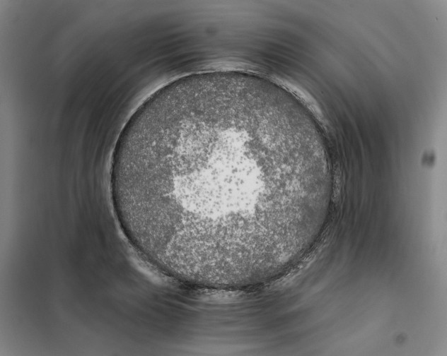 X0000101121039200807241154