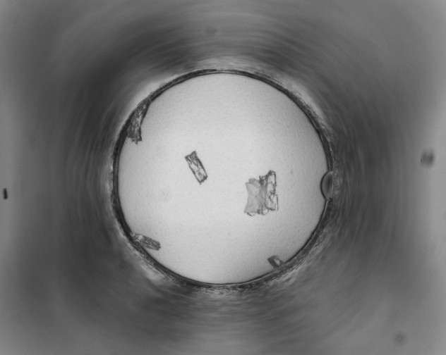 X0000101121040200807241154