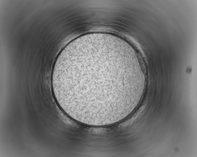 X0000101121041200807241154