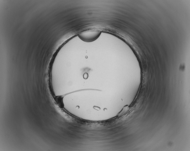 X0000101121042200807241154