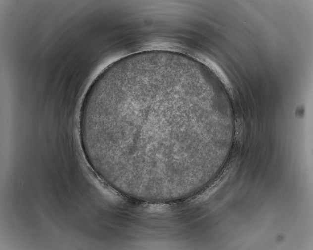 X0000101121043200807241154