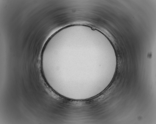 X0000101121044200807241154