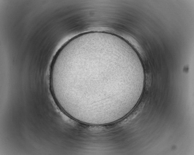 X0000101121046200807241154