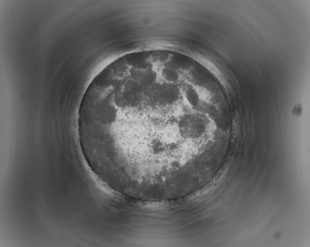 X0000101121047200807241154