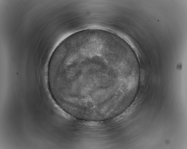 X0000101121048200807241154