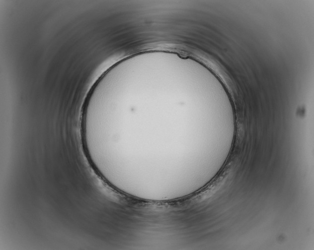 X0000101121050200807241154
