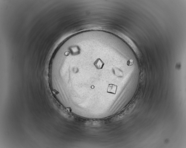 X0000101121051200807241154