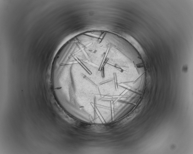 X0000101121052200807241154