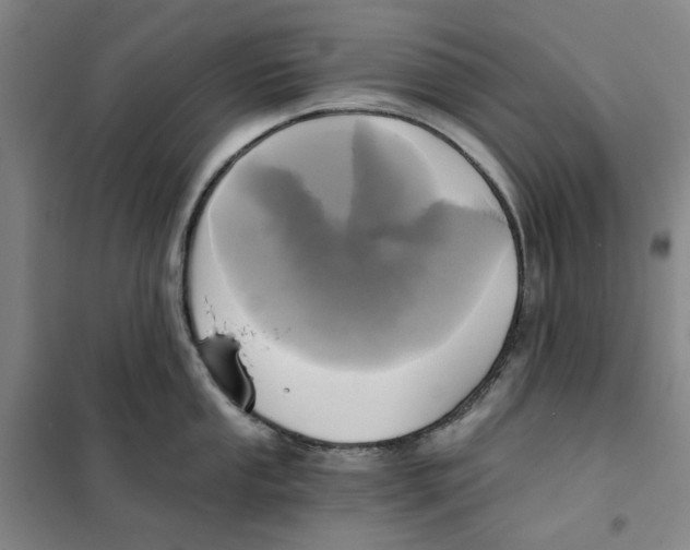 X0000101121053200807241154