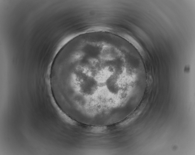 X0000101121055200807241154