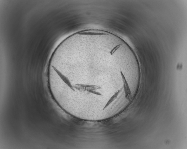 X0000101121056200807241154