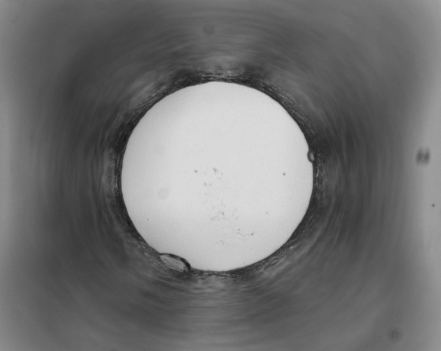 X0000101121058200807241153