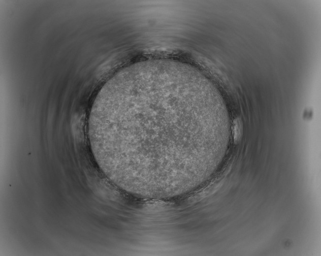 X0000101121059200807241153