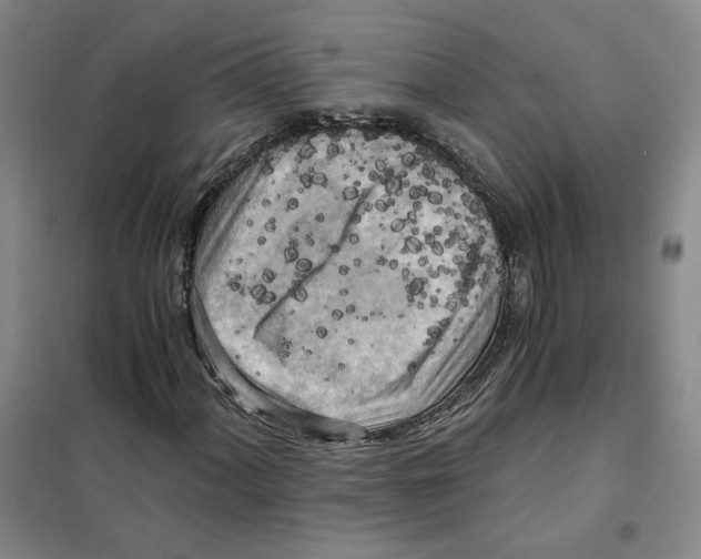 X0000101121060200807241153