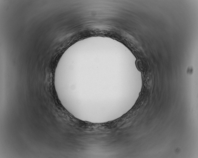 X0000101121061200807241153