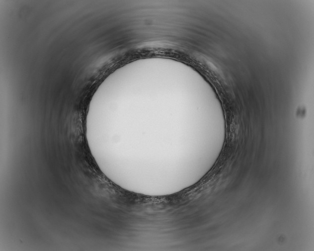 X0000101121062200807241153