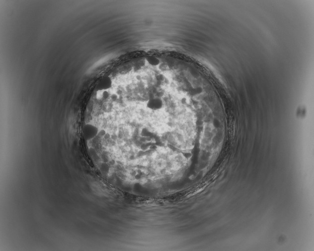 X0000101121063200807241153