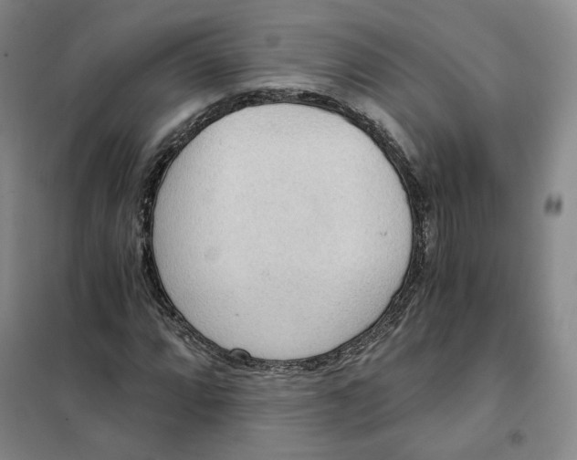 X0000101121064200807241153