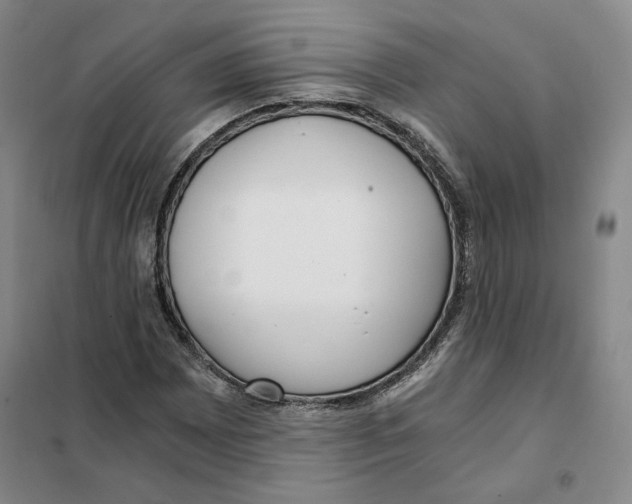 X0000101121065200807241153