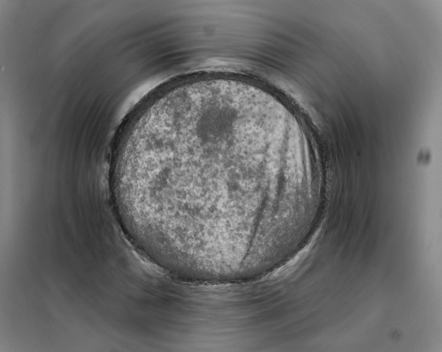 X0000101121066200807241153