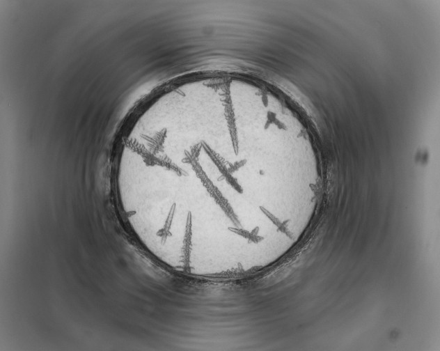 X0000101121067200807241153