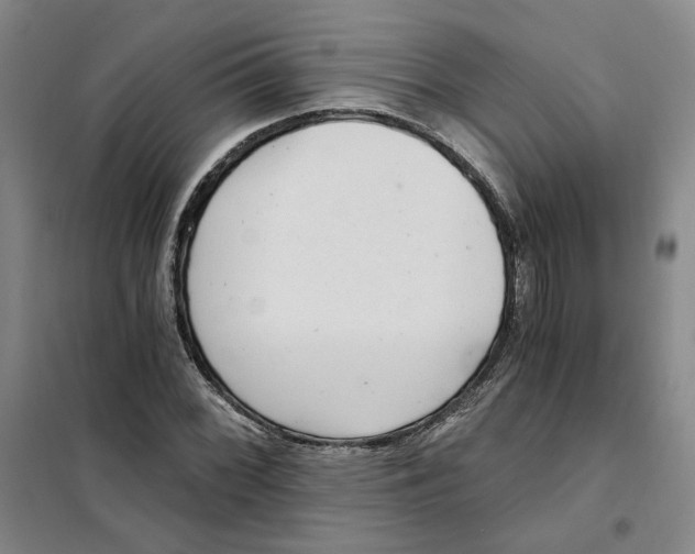 X0000101121068200807241153