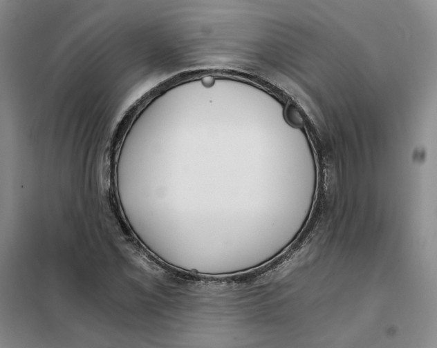 X0000101121069200807241153