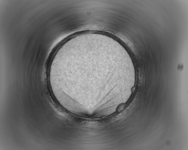 X0000101121070200807241153