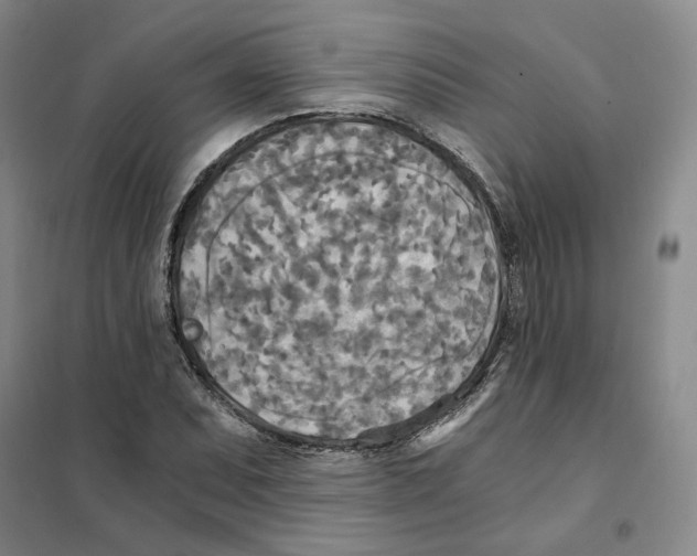 X0000101121071200807241153