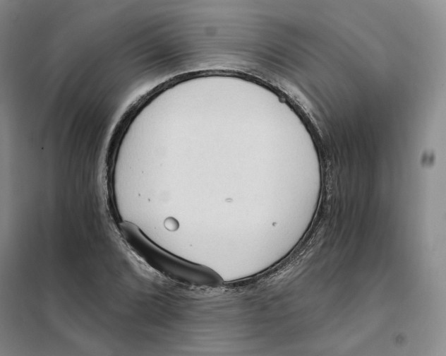 X0000101121072200807241153