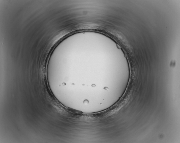 X0000101121073200807241153
