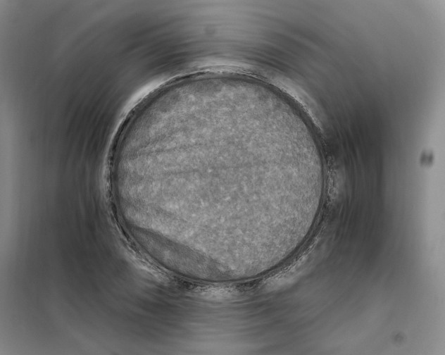 X0000101121074200807241153