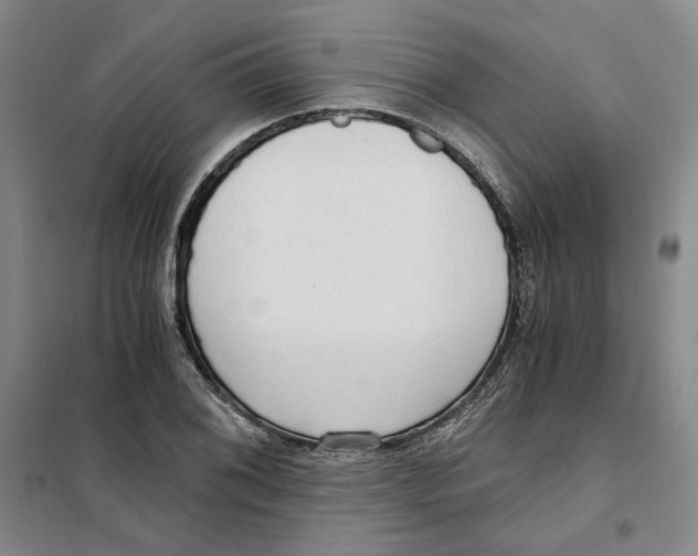 X0000101121076200807241153