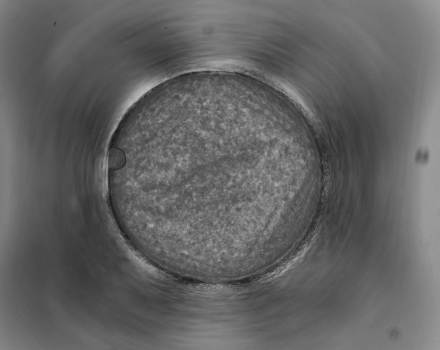X0000101121079200807241153