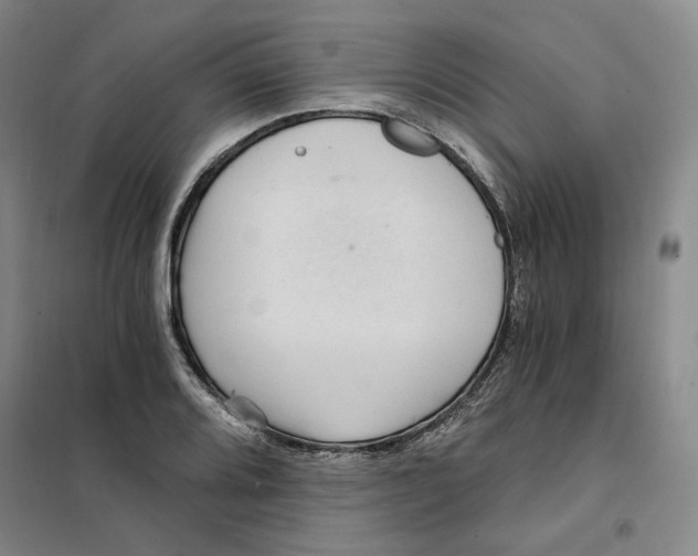 X0000101121080200807241153