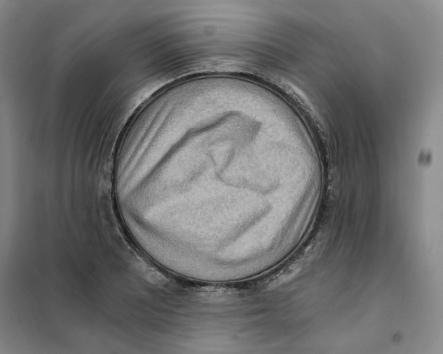 X0000101121081200807241153