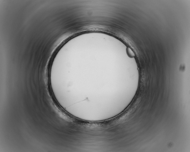 X0000101121082200807241153