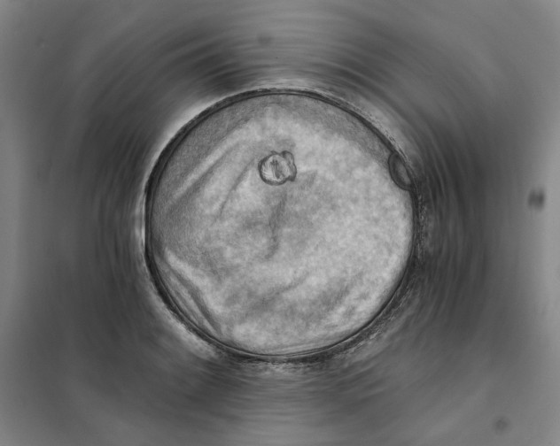 X0000101121084200807241153
