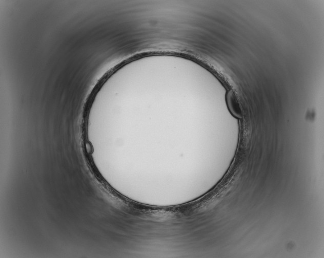 X0000101121085200807241153