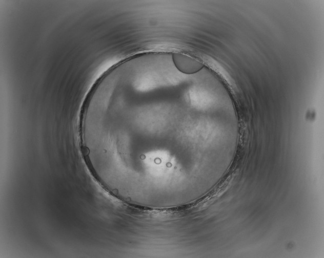 X0000101121087200807241153