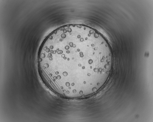 X0000101121088200807241153