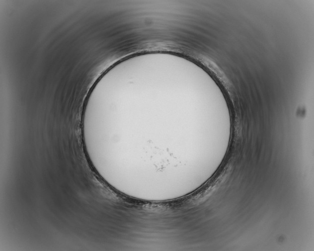 X0000101121089200807241153